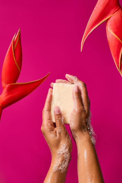 Botanical Bar Soaps